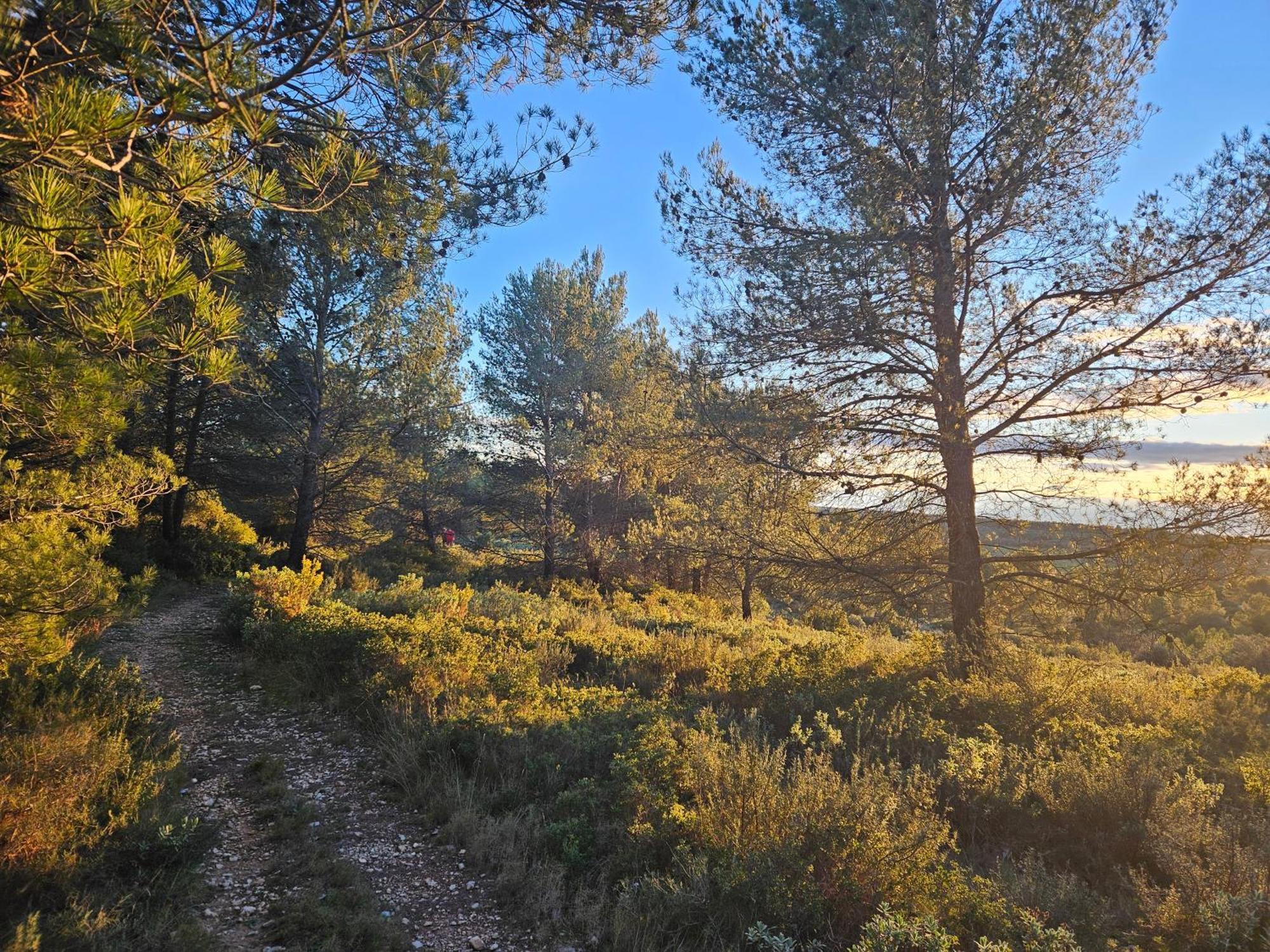 La Villa Kef Lambesc Eksteriør billede